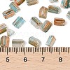 Transparent Spray Painted Glass Seed Beads SEED-L011-10A-04-4