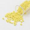 11/0 Grade A Baking Paint Glass Seed Beads X-SEED-N001-A-1065-1