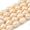 Natural Cultured Freshwater Pearl Beads Strands PEAR-I007-01H-02B-2