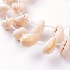 Natural Cowrie Shell Beads Strands X-BSHE-L036-32E-03-2