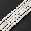 Natural Freshwater Shell Beads Strand BSHE-E026-16B-1