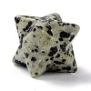 Natural Dalmatian Jasper Sculpture Healing Crystal Merkaba Star Ornament G-C234-02B-3