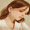 1 Pair Brass Moon Hoop Earrings EJEW-LP0007-116G-1