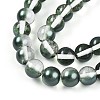 Baking Paint Transparent Glass Beads Strands DGLA-N011-10mm-07-3