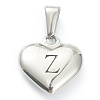 304 Stainless Steel Pendants STAS-P278-01Z-P-1