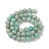 Natural Amazonite Beads Strands G-K068-03-8mm-01-2