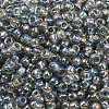 TOHO 6/0 Round Beads SEED-XTR06-0176-3