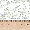 Glass Flat Back Rhinestone RGLA-C002-SS8-101-3