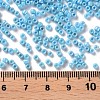 Opaque Glass Seed Beads SEED-S023-01B-03-3