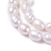 Natural Cultured Freshwater Pearl Beads Strands PEAR-L021-18-01-2