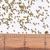 MIYUKI Delica Beads SEED-X0054-DB0604-4