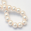 Baking Painted Pearlized Glass Pearl Round Bead Strands X-HY-Q003-6mm-41-4