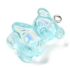 Transparent Resin Pendants RESI-M033-01A-2