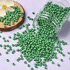 1300Pcs 6/0 Glass Seed Beads SEED-YW0002-19B-5