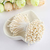 Plastic Artificial Matte Flower Core PW-WG40922-13-1