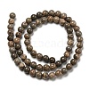 Natural Map Stone/Picasso Stone Beads Strands G-R494-A24-02-2