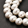 Electroplated Shell Pearl Beads Strands BSHE-C009-03B-4