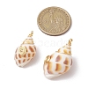 Natural Spiral Shell Pendants PALLOY-JF03316-02-2