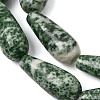 Natural Green Spot Jasper Beads Strands GG-CBA0487-B03-8x21mm-4