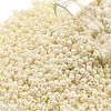 TOHO 11/0 Round Beads SEED-TR11-0123L-1