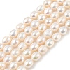 Natural Cultured Freshwater Pearl Beads Strands PEAR-I007-01D-01A-2