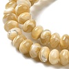 Natural Trochus Shell Beads Strands SHEL-K006-25A-3