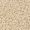 MIYUKI Delica Beads SEED-X0054-DB0204-3
