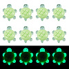 12Pcs Luminous Resin Cabochons RESI-TA0004-55A-1