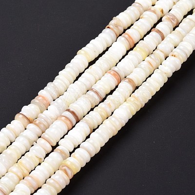 Shell Beads Strands SSHEL-E571-49I-1