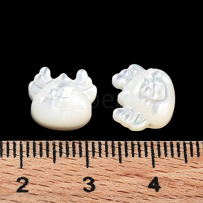 Natural White Shell SHEL-M020-03B-1