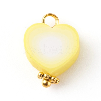 Polymer Clay Charms PALLOY-JF00678-1