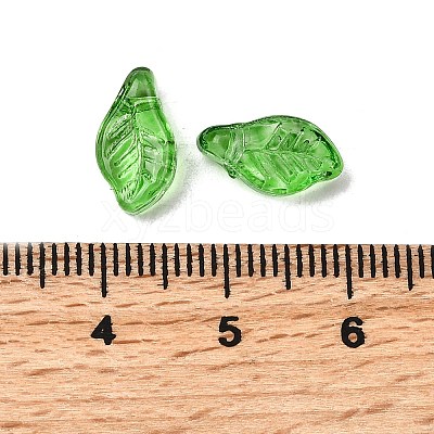 Glass Beads LS-X-GLAA-D303-08H-1