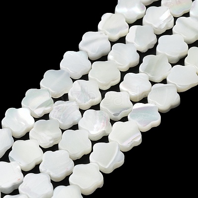 Natural Trochus Shell Beads Strands X-BSHE-P033-07-1