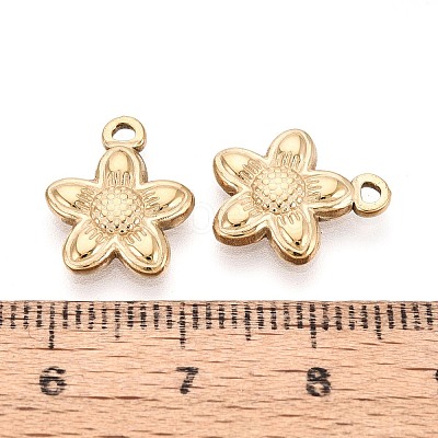 304 Stainless Steel Pendants STAS-N123-08G-1