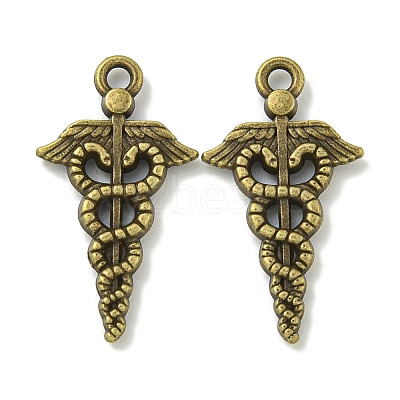 Tibetan Style Alloy Pendants TIBE-I026-6007AB-1