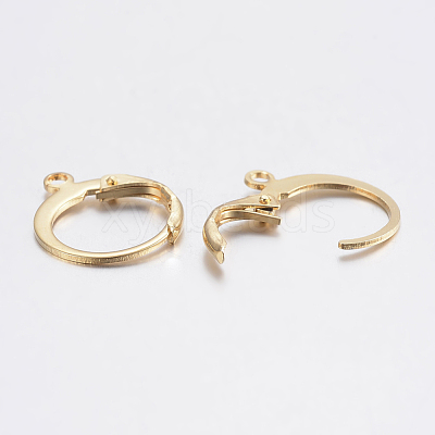 304 Stainless Steel Leverback Earring Findings X-STAS-F155-13G-1