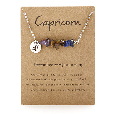 Natural Amethyst & Tiger Eye & Sodalite Chip & Alloy Constellation Pendant Necklaces WGB0CBC-05-1