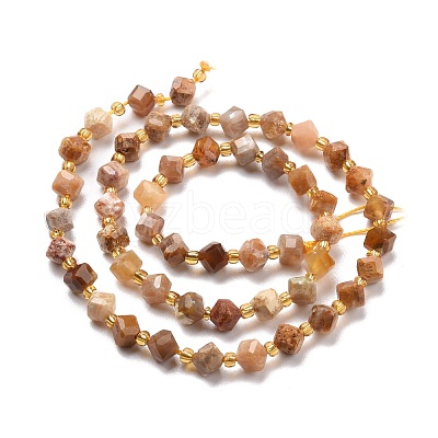 Natural Fossil Coral Beads Strands G-P463-48-1