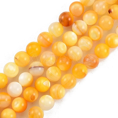 Natural Golden Yellow Shell Beads Strands SSHEL-G024-01C-1