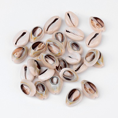 Natural Cowrie Shell Beads BSHE-S053-1