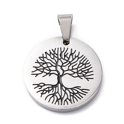 304 Stainless Steel Pendants STAS-Z027-02A-P-1