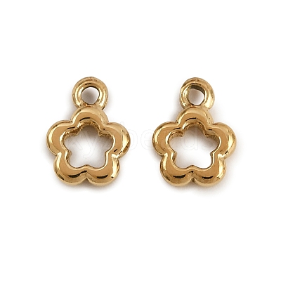 304 Stainless Steel Charms STAS-Z152-09G-1