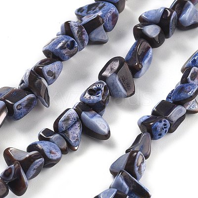 Dyed Natural Trochus Shell Beads Strands BSHE-Z006-01C-1