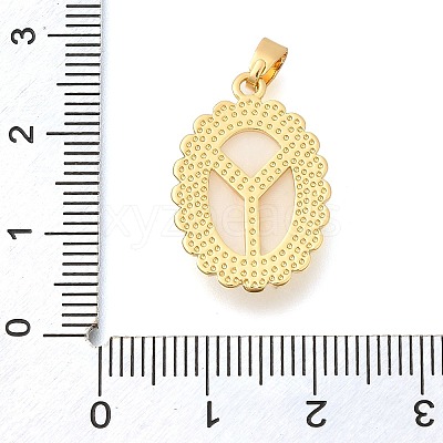 Brass Micro Pave Cubic Zirconia with Acrylic Pendants KK-S049-24G-1