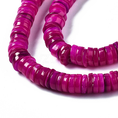 Natural Freshwater Shell Beads Strands SHEL-Q024-001F-1