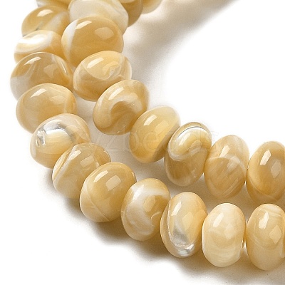 Natural Trochus Shell Beads Strands SHEL-K006-25A-1