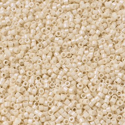 MIYUKI Delica Beads SEED-X0054-DB0204-1