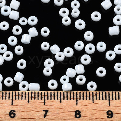 8/0 Glass Seed Beads SEED-S061-A-979-1