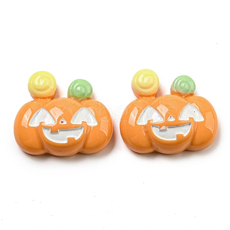 Halloween Opaque Resin Decoden Cabochons CRES-H002-02I-1