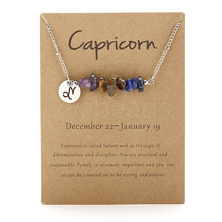 Natural Amethyst & Tiger Eye & Sodalite Chip & Alloy Constellation Pendant Necklaces WGB0CBC-05-1